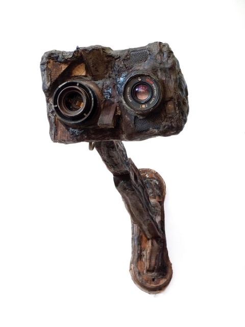 Gedachtenfotocamera (2016)