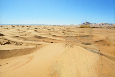 Desert Adventures 5 (2014)