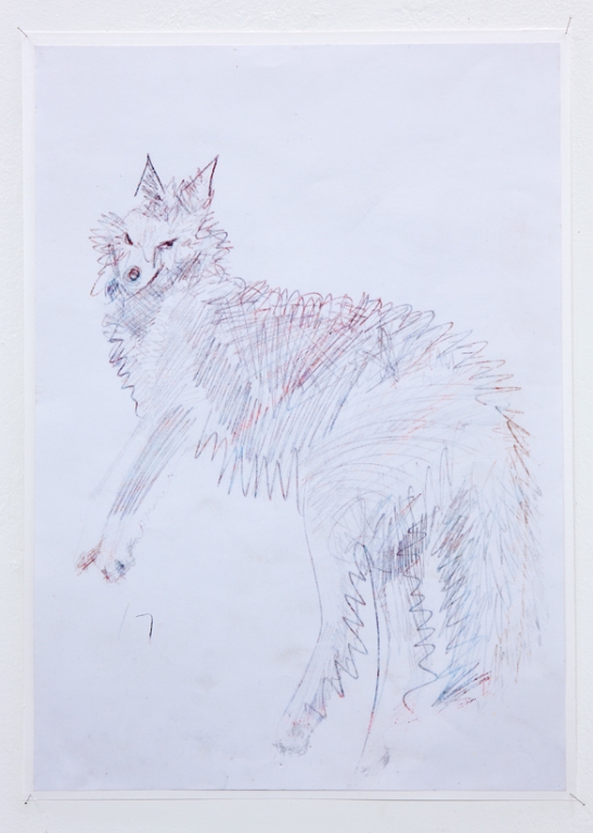 Fox II (2015)