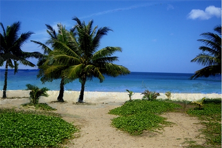 Paradise beach 7 (2014)