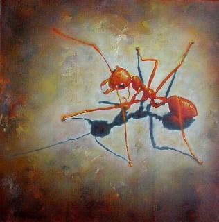 Red Ant nr. 2